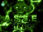 a.y.n.d